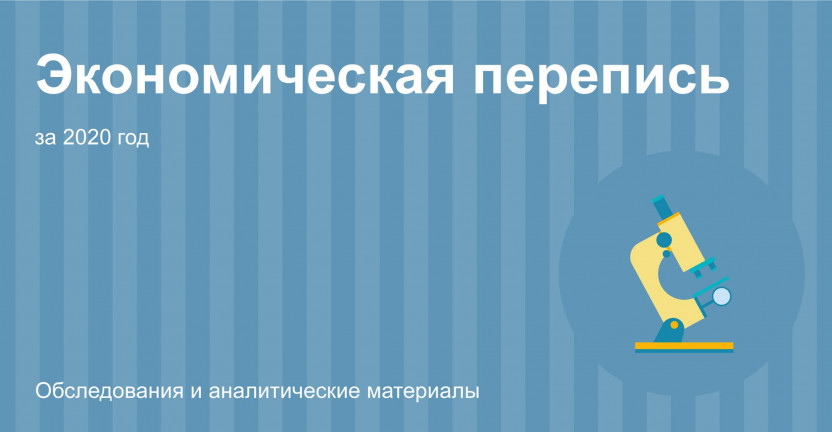В Мурманской области подведены предварительные итоги Экономической переписи малого бизнеса за 2020 год